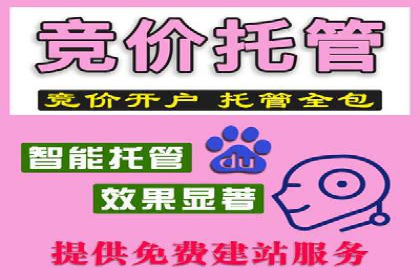 百度广告竞价效果评估：某知名品牌的投放效果分析